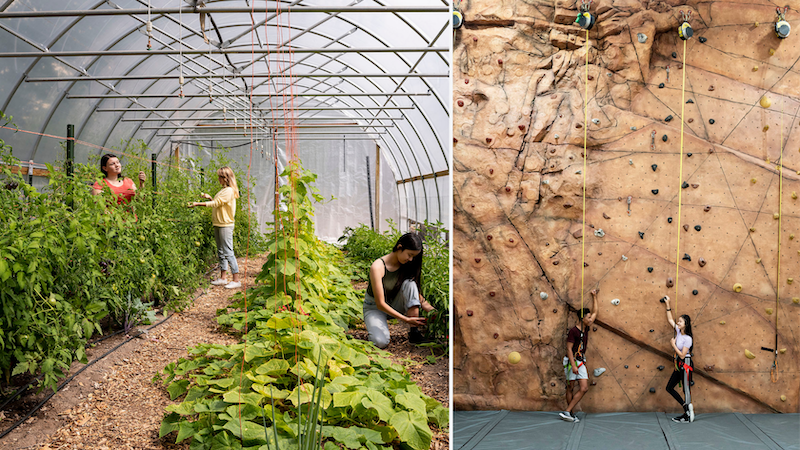 At left, three students inside a greenhouse gardening in the leafy rows; At right, two students wearing climbing belays stand facing each other with hands on a rock climbing wall